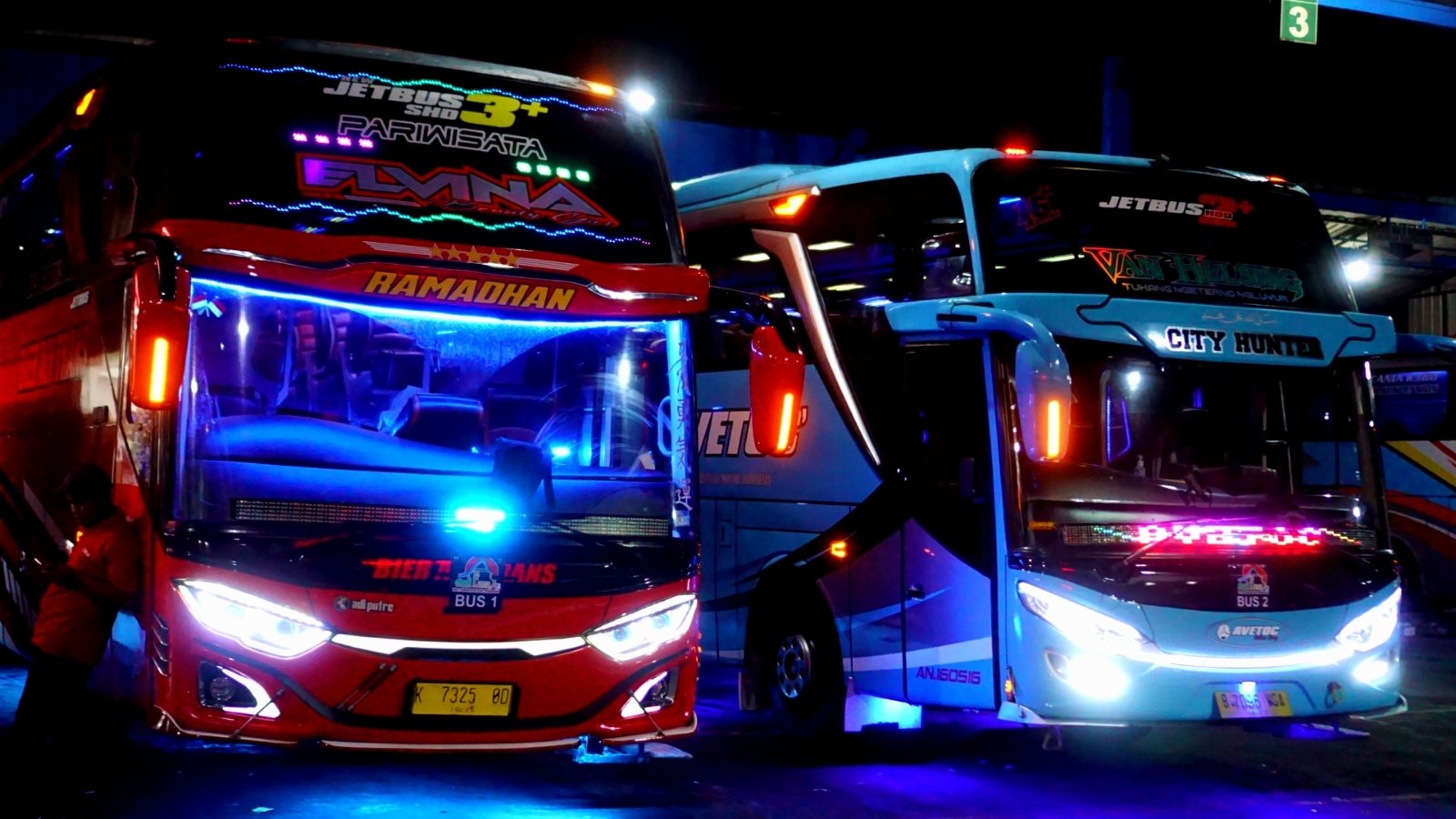Bus Pariwisata